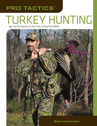 Turkey Hunting